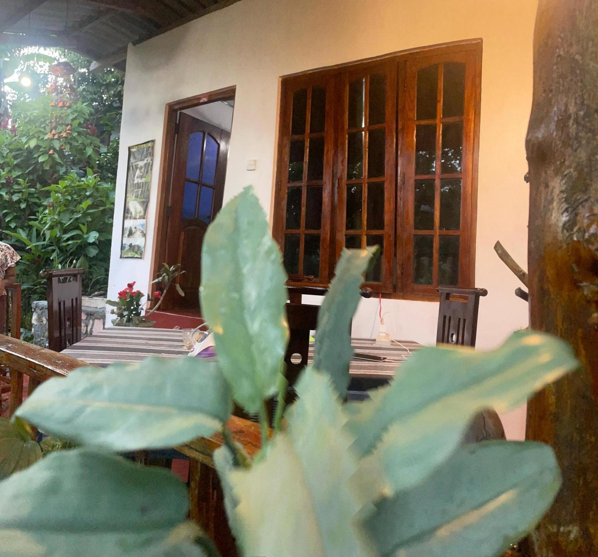 Hidden Gem Inn Элла Экстерьер фото